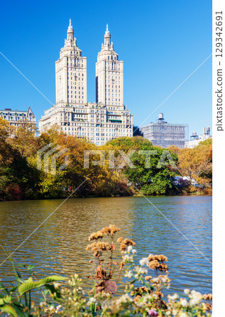Central Park in New York City on a sunny autumn 129342691