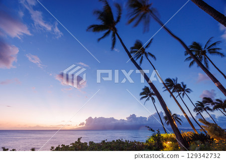 Stunning Hawaii ocean sunset with silhouettes of palm trees swaying against a vibrant sky 129342732
