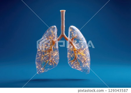 Lungs illuminated with sparkling light against a blue background showcasing respiratory structure 129343587