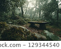 A misty forest clearing with a moss-covered bench, dewy leaves. conceptual image for National Relaxation Day, no people 129344540