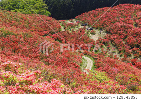 Mount Katsuragi, famous for its azaleas in Nara, Japan. 129345853