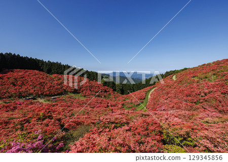 Mount Katsuragi, famous for its azaleas in Nara, Japan. 129345856