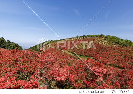 葛城山,位於日本奈良,以杜鵑花聞名。 葛城山,位於日本奈良,以杜鵑花聞名。 129345885