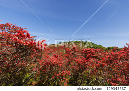 Mount Katsuragi, famous for its azaleas in Nara, Japan. Mount Katsuragi, famous for its azaleas in Nara, Japan. 129345887