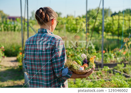 Basket with different fresh vegetables herbs in woman's hands outdoor 129346002