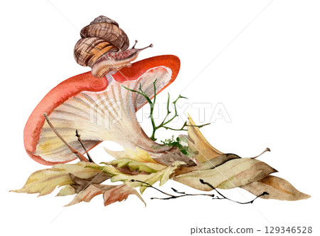 Russula cortinarius webcap mushroom, crawling snail on cap, on top of fallen autumn leaves pile with twigs. Forest floor, backyard garden scene. Fungi natural illustration hand drawn in watercolor. 129346528