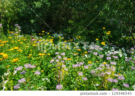 Nakanojo Karaku Village, Gunma Prefecture Nakanojo Karaku Village, Gunma Prefecture 129346545