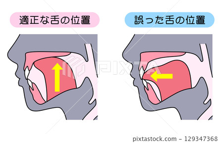 如何正確喵喵叫：正確且不正確的舌頭位置 129347368