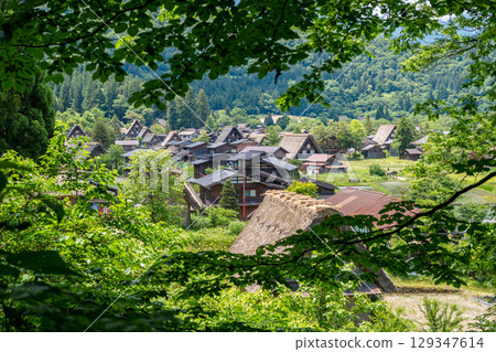 Traditional thatched houses of Shirakawa-go village in rural Japan. Panoramic view Traditional thatched houses of Shirakawa-go village in rural Japan. Panoramic view 129347614