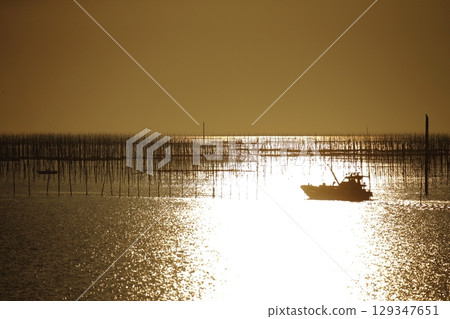 Omuta City Ariake Sea Nori field, 129347651