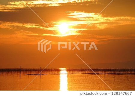 大牟田市有明海紫菜場, 大牟田市有明海紫菜場, 129347667