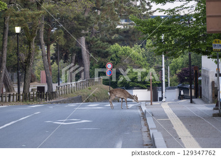 In transit In transit 129347762