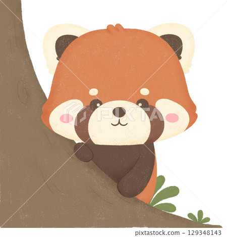Red panda 129348143