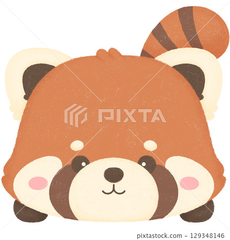 Red panda Red panda 129348146