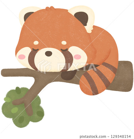 Red panda 129348154