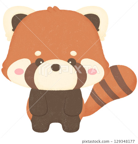 Red panda  129348177