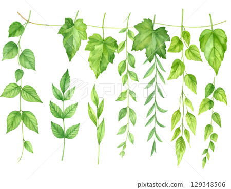 Green Leaves Watercolor Collection 129348506