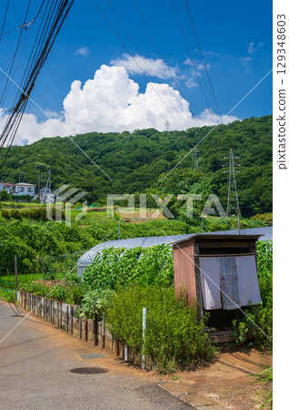 Kitayana and Tsurumaki rural landscape, summer landscape, Mount Kobo 129348603