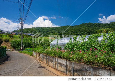 北谷奈、鶴卷溫泉、光房山的寧靜田園風光 北谷奈、鶴卷溫泉、光房山的寧靜田園風光 129349579