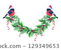 Christmas spruce garland and bullfinches bird in Santa hat in retro style. New Year element design. 129349653