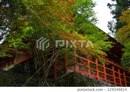 Hieiyama Enryakuji, Yokokawa Nakadori Hieiyama Enryakuji, Yokokawa Nakadori 129349814