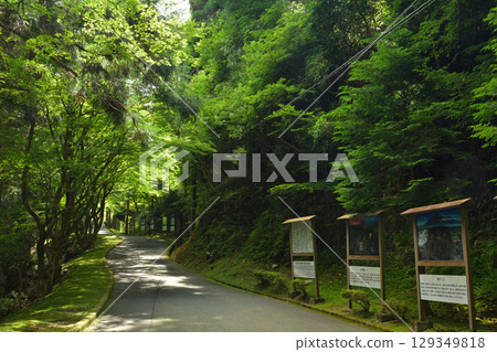 Hieiyama Enryakuji, Yokokawa Nakadori Hieiyama Enryakuji, Yokokawa Nakadori 129349818