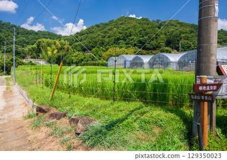 弘法山和吾妻山山麓的田園風光 129350023