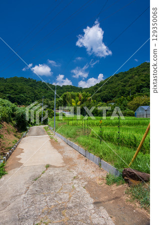 Rural scenery at the foot of Mount Kobo and Mount Azuma 129350068