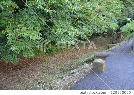 Scenery of Obi Castle Scenery of Obi Castle 129350090