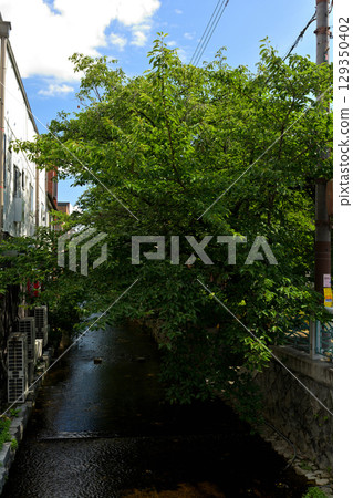 京都·高瀨河 129350402