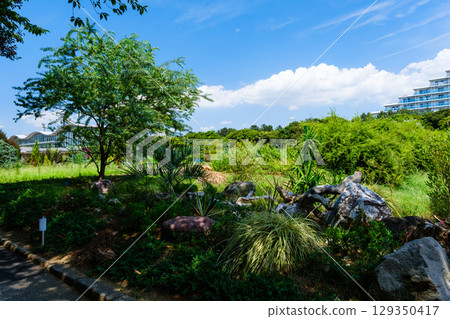 植物園裡的景象 植物園裡的景象 129350417
