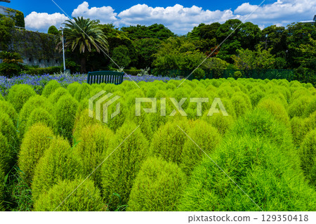 植物園裡的景象 129350418