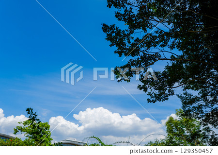 A sight found in the botanical garden A sight found in the botanical garden 129350457