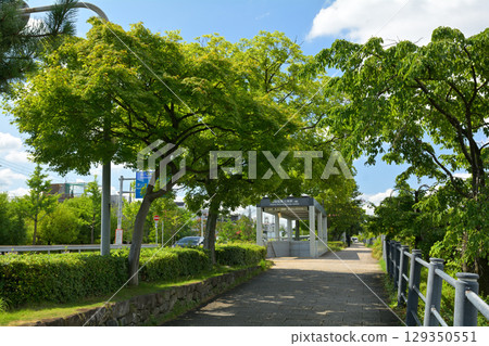 Kyoto · Kamogawa Kyoto · Kamogawa 129350551
