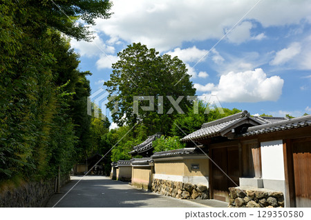 京都·東福寺 京都·東福寺 129350580