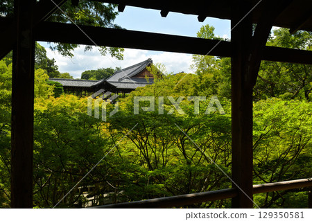 Kyoto · Tofukuji Kyoto · Tofukuji 129350581
