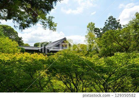 Kyoto · Tofukuji 129350582