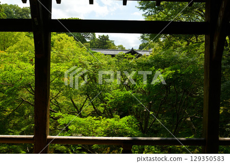 京都·東福寺 129350583
