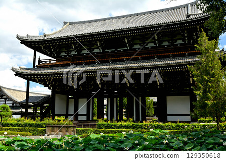 Kyoto · Tofukuji Kyoto · Tofukuji 129350618