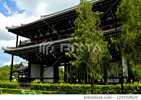 京都·東福寺 京都·東福寺 129350620