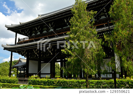 京都·東福寺 京都·東福寺 129350621