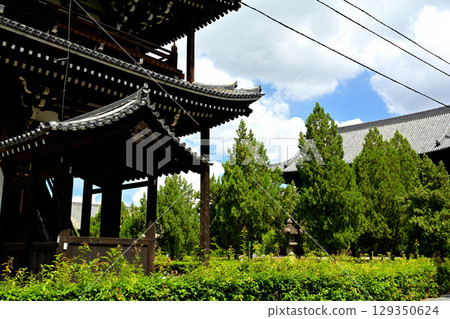 京都·東福寺 129350624
