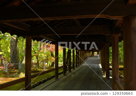 京都·東福寺 京都·東福寺 129350663