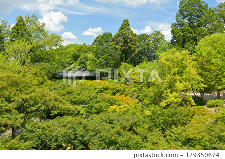 Kyoto · Tofukuji Kyoto · Tofukuji 129350674