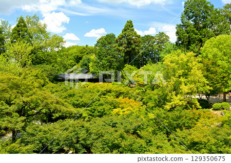 Kyoto · Tofukuji 129350675