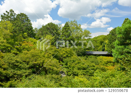 Kyoto · Tofukuji 129350678