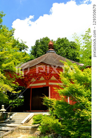 Kyoto · Tofukuji Kyoto · Tofukuji 129350679