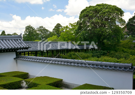 京都·東福寺 京都·東福寺 129350709
