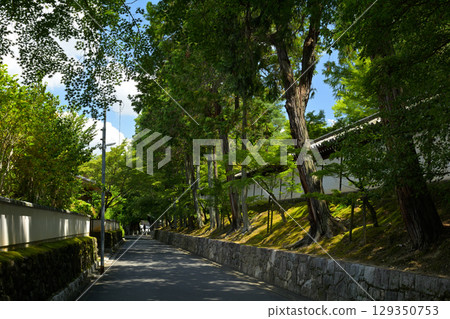 Kyoto · Tofukuji Kyoto · Tofukuji 129350753