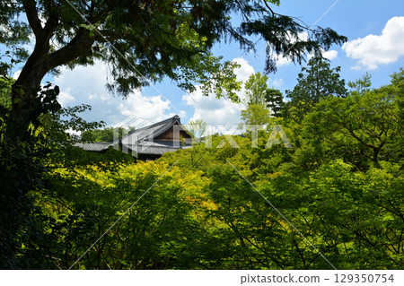 京都·東福寺 129350754